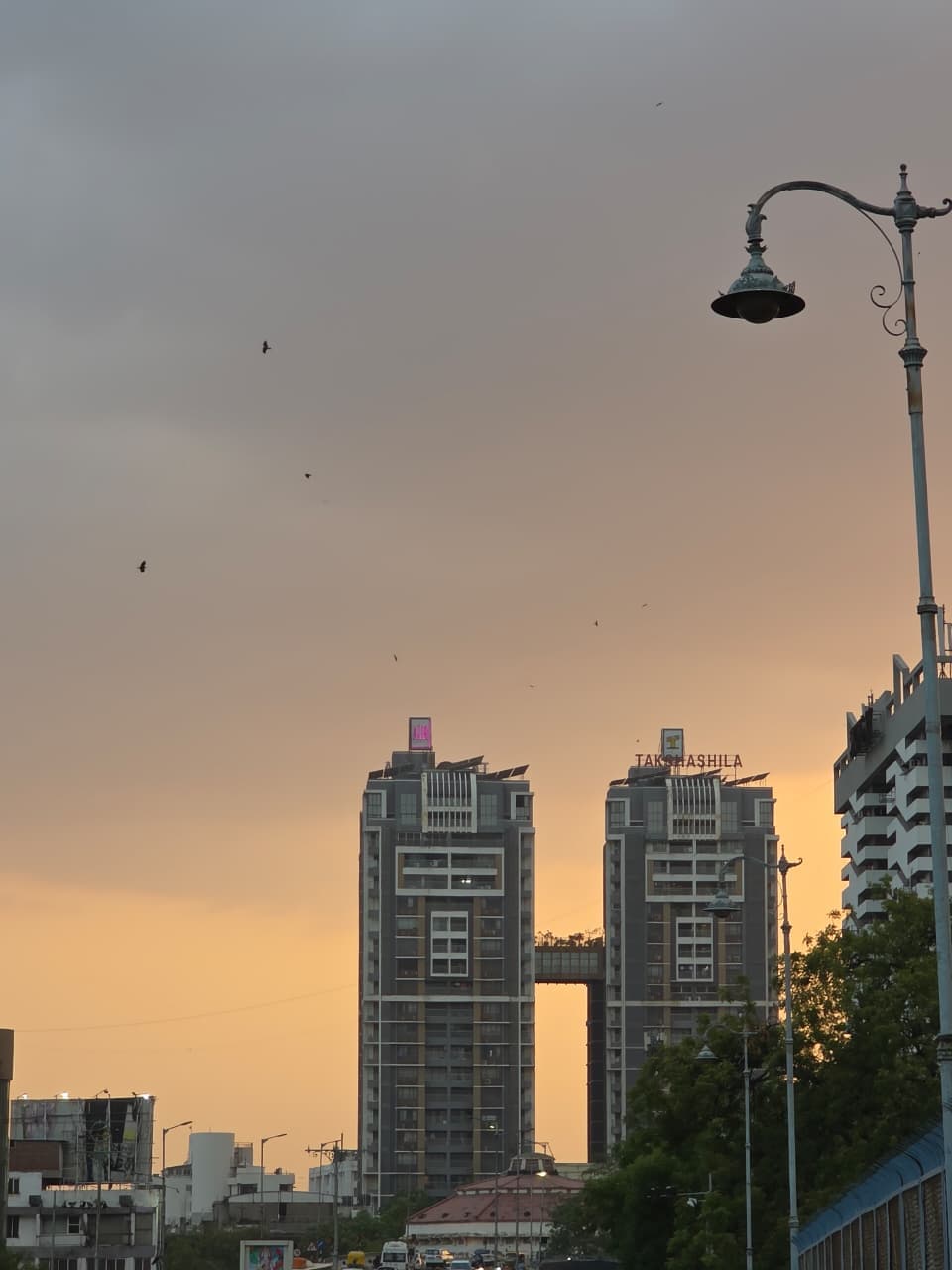 Golden hour — photo by Zula